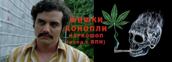 PSILOCYBIN Нефтекумск