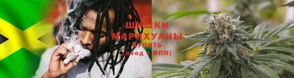 соль ск Бикин