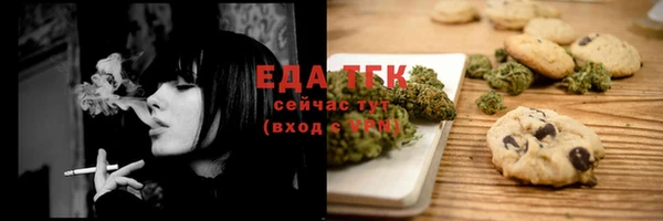 хмурый Новозыбков
