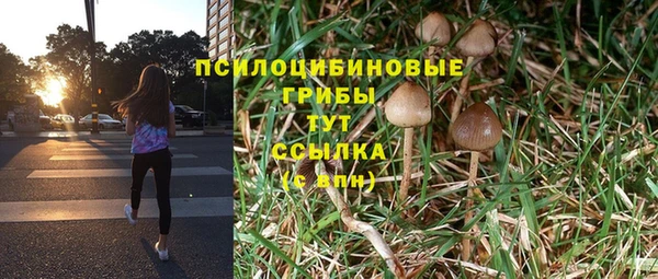 стафф Нея