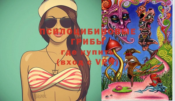 PSILOCYBIN Нефтекумск