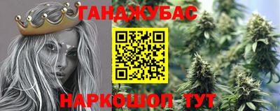 прущие грибы Заводоуковск