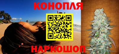 ГАЛЛЮЦИНОГЕННЫЕ ГРИБЫ Беслан