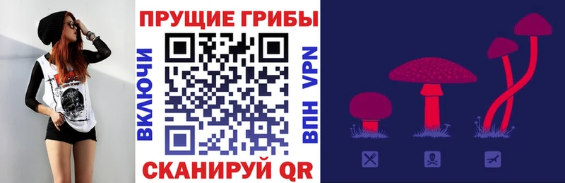 Псилоцибиновые грибы MAGIC MUSHROOMS Красноуфимск
