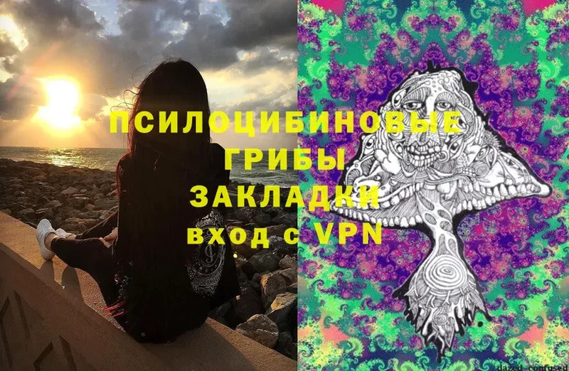 OMG   Красноуфимск  Галлюциногенные грибы Psilocybe 