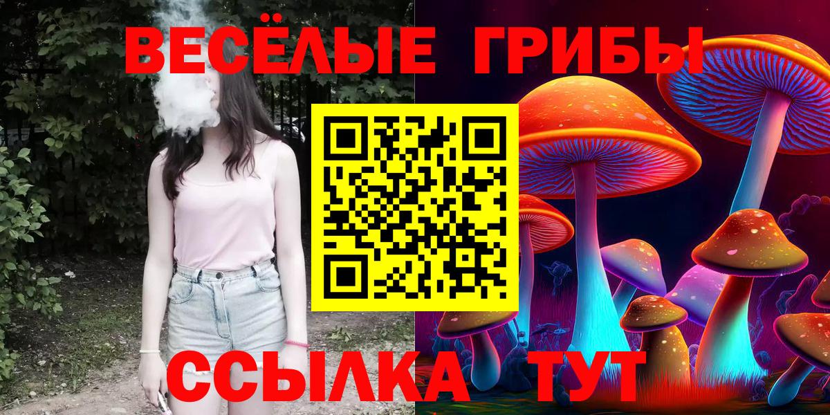 Псилоцибиновые грибы Psilocybe  Красноуфимск 