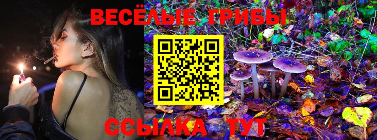 Псилоцибиновые грибы мухоморы Красноуфимск
